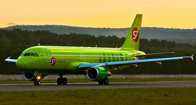 Авиакомпания S7 начала сбор средств на высадку 1 миллиона деревьев в Сибири