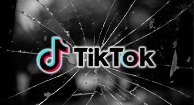 Председатель СК Александр Бастрыкин поручил разобраться с «суицидальными» видео в TikTok