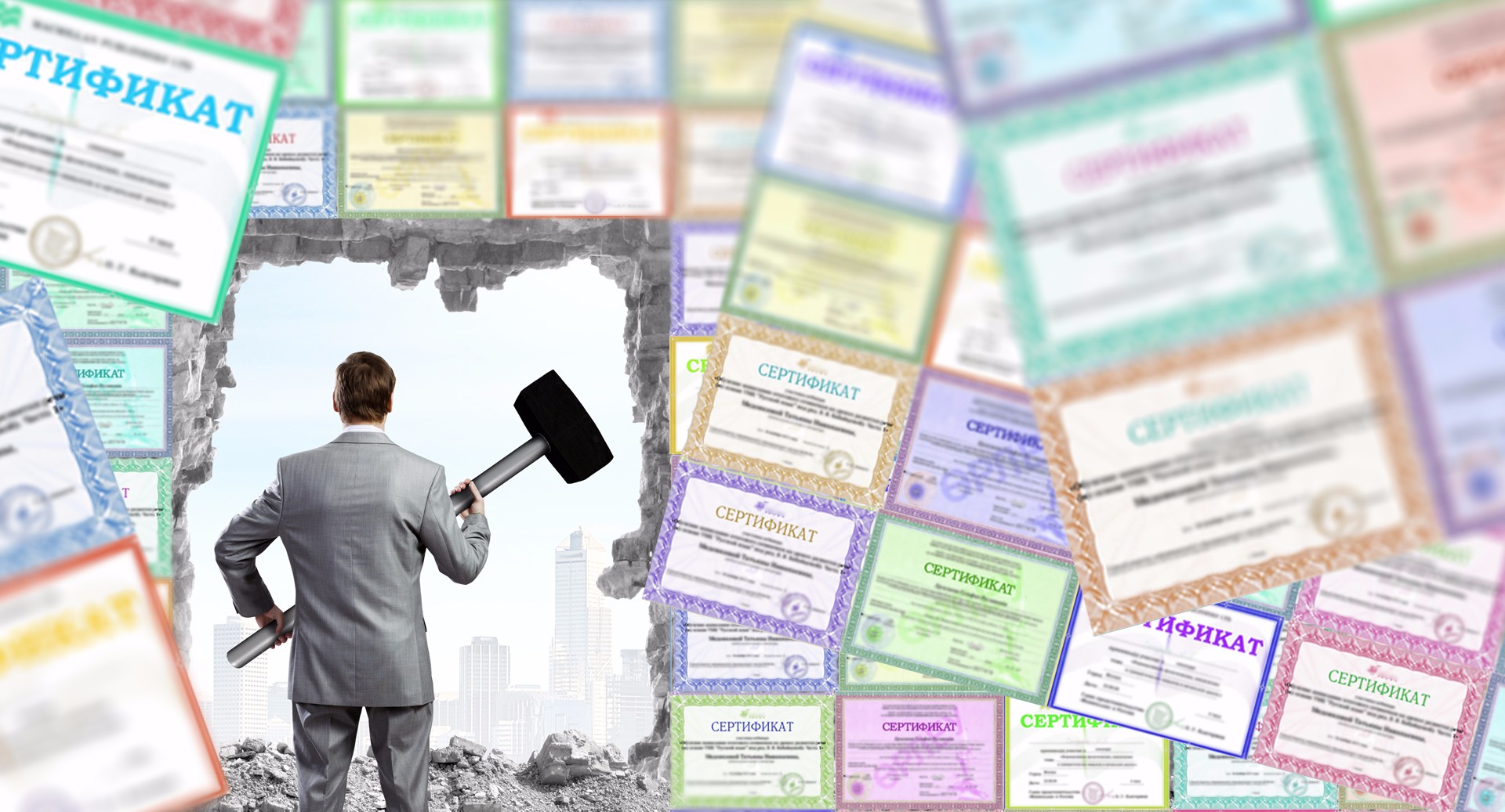 Professional development в школе и вузе