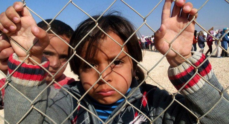 Учителя Италии объявили голодовку в поддержку мигрантов