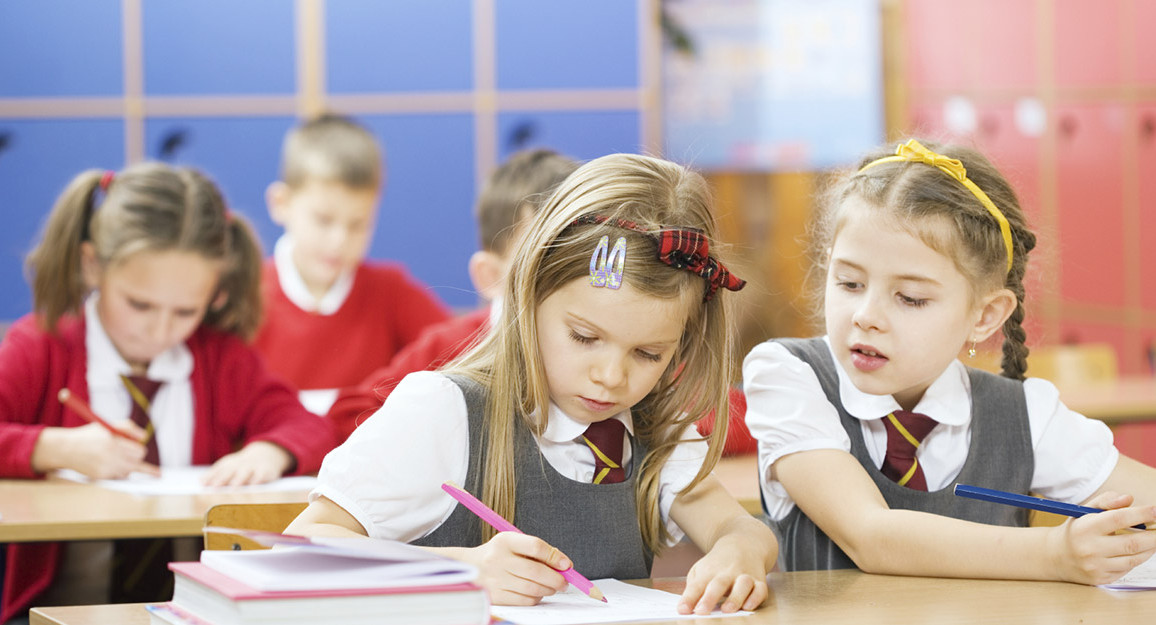 Частным школам и вузам предложили оказывать господдержку