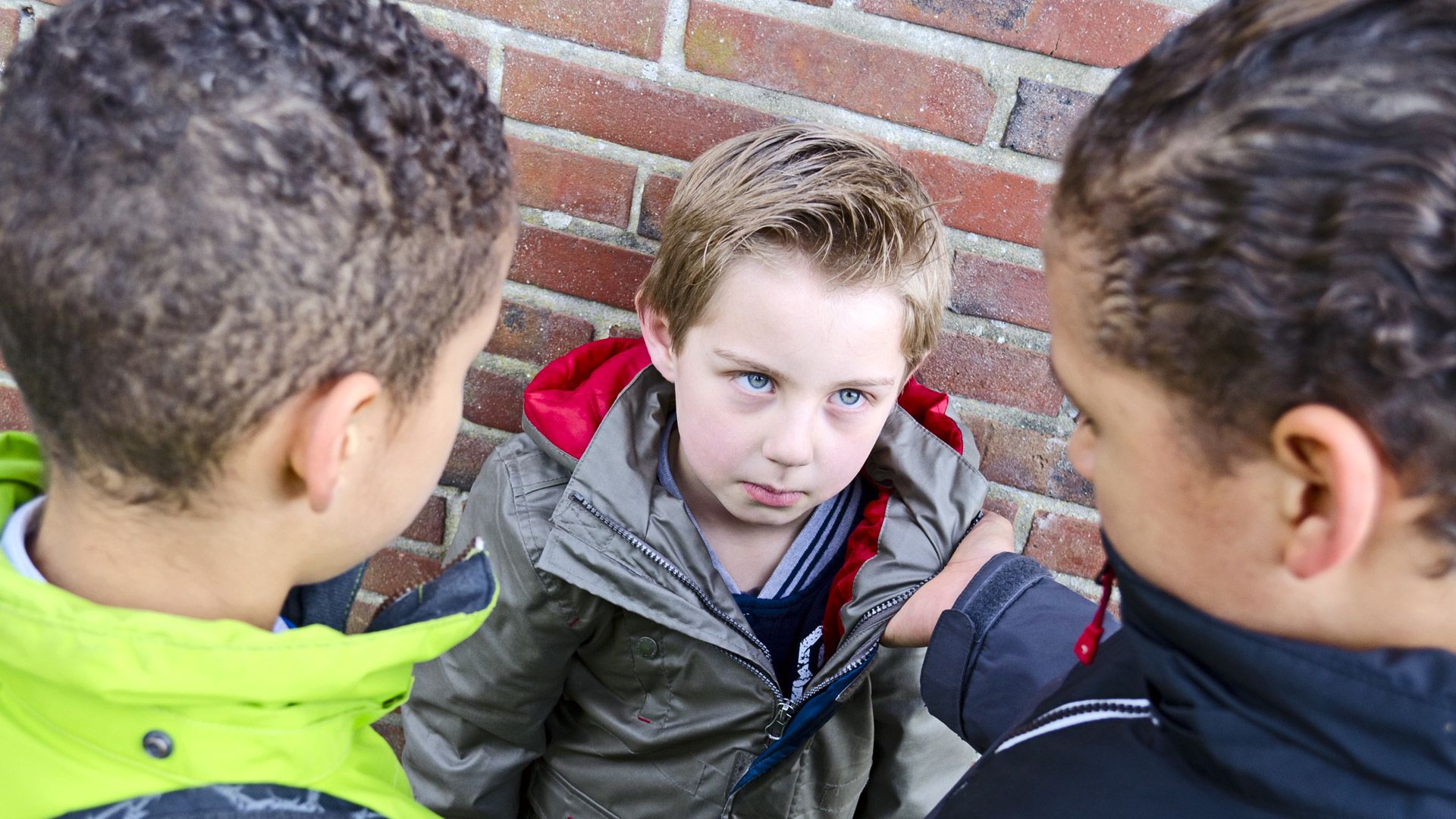 Гены заставляют маленьких детей становиться задирами, заявляют ученые