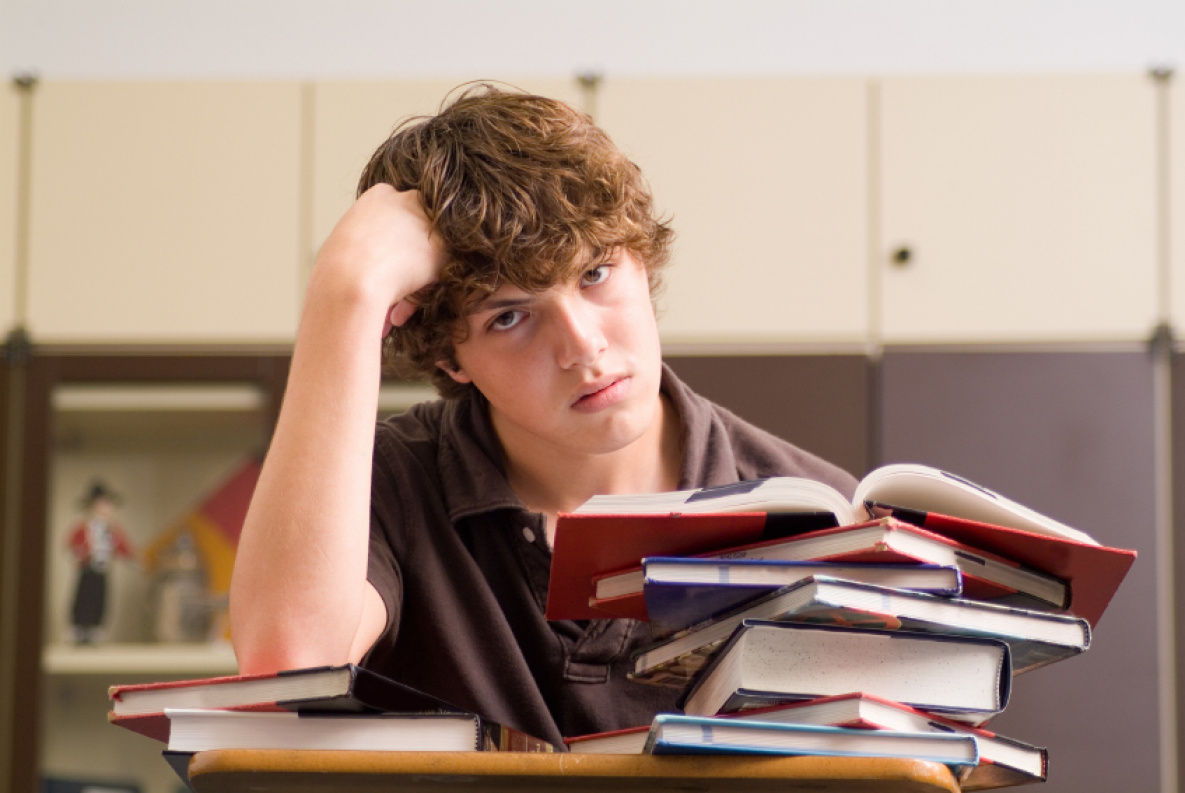 Максимальный балл в диагностической работе по биологии не набрал ни один десятиклассник России