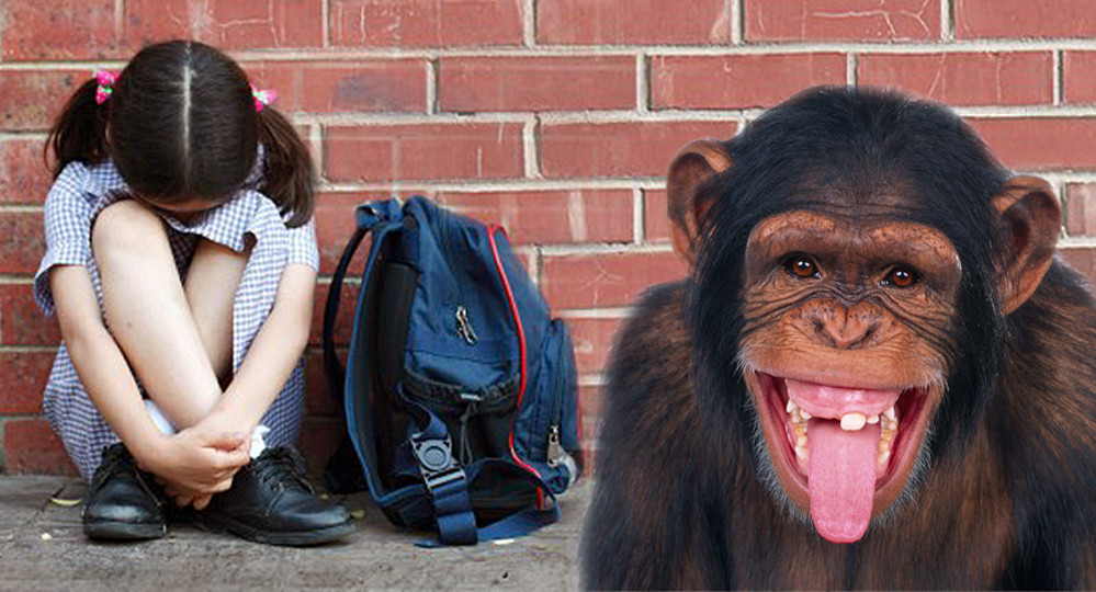 Инстинкт буллинга Инстинкт буллинга