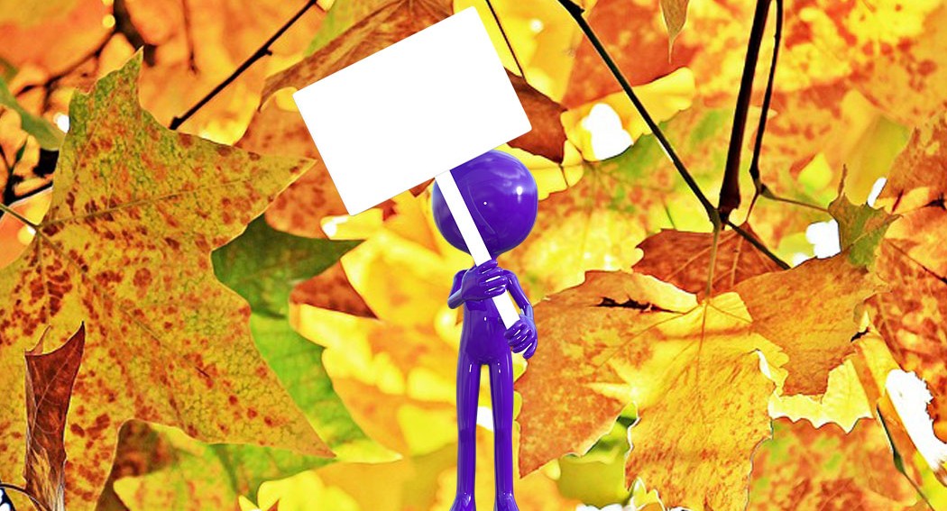 Профсоюз «Учитель» намерен провести в Москве пикет ко Дню учителя