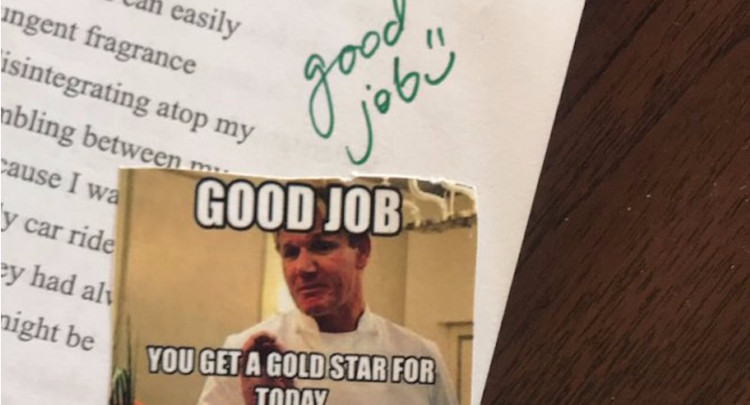 Вместо оценок – мемы