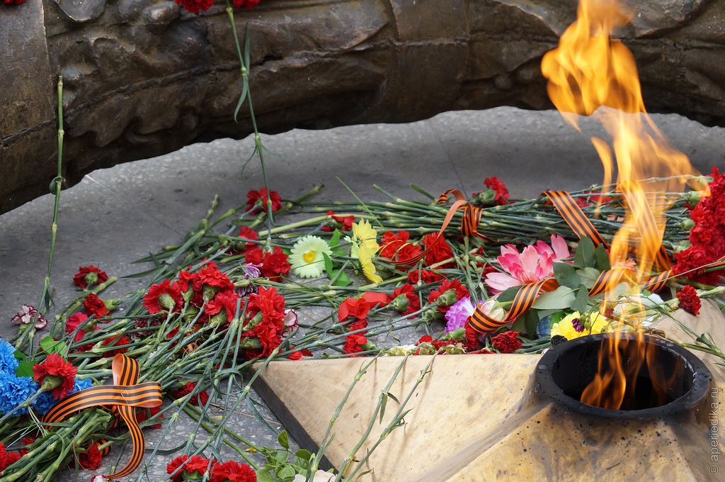 Что будет со школьниками, которые бросили венок в Вечный огонь