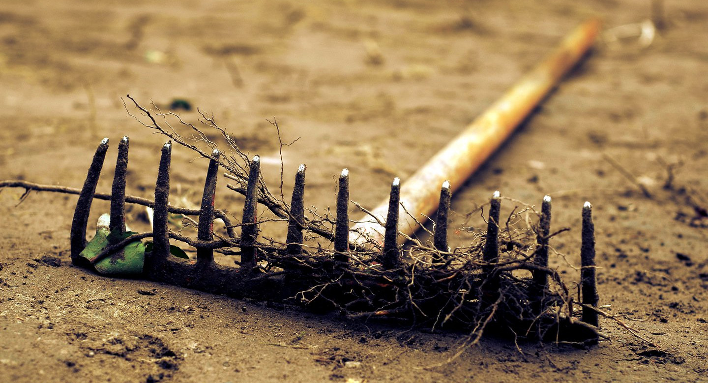 Грабли единомыслия