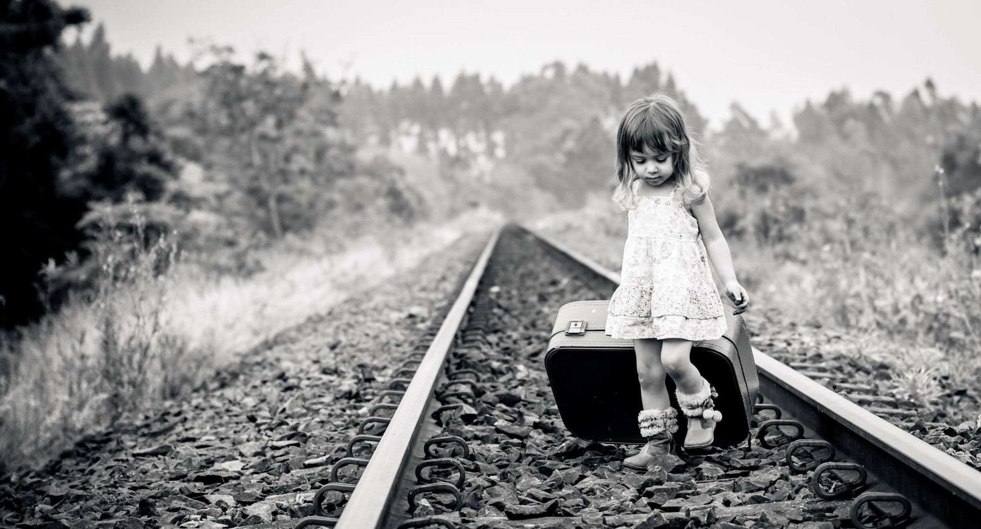 Путь в профессию – это поездка со многими пересадками на разных видах транспорта, или Чем опасен новый статус школы Путь в профессию – это поездка со многими пересадками на разных видах транспорта, или Чем опасен новый статус школы