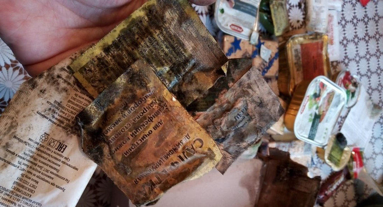 ЛДПР наградила юного героя просроченным армейским сухпайком с плесенью