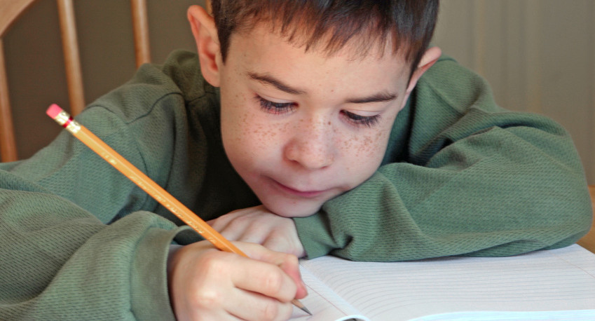 Школьников хотят научить писать объяснительные