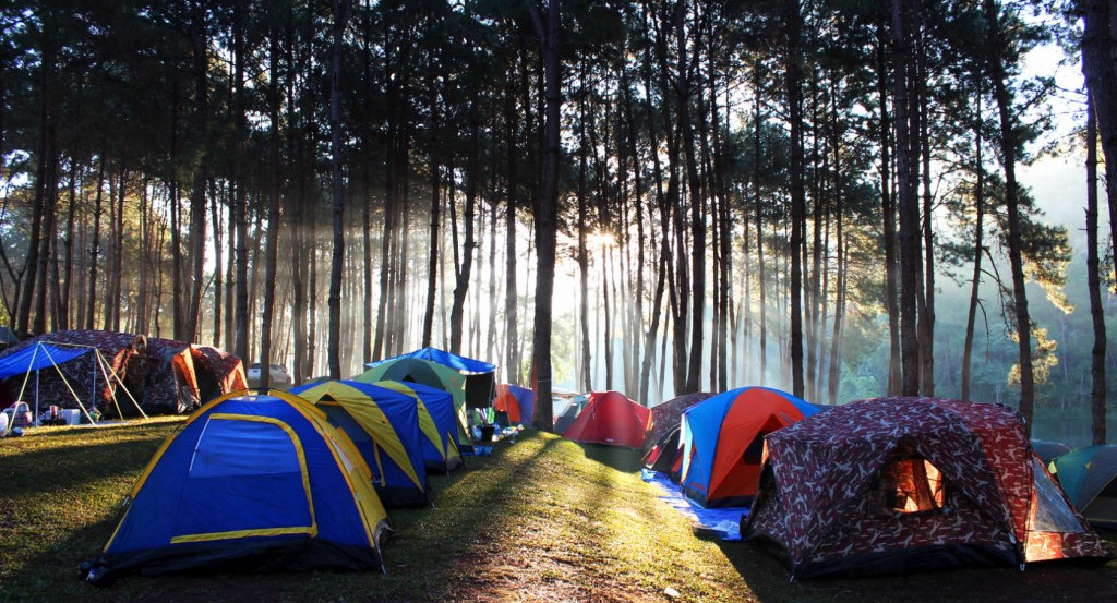Ольга Васильева предложила сокращать число летних городских лагерей