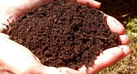 «Да ты целовать её должен, она тебя кормит!»