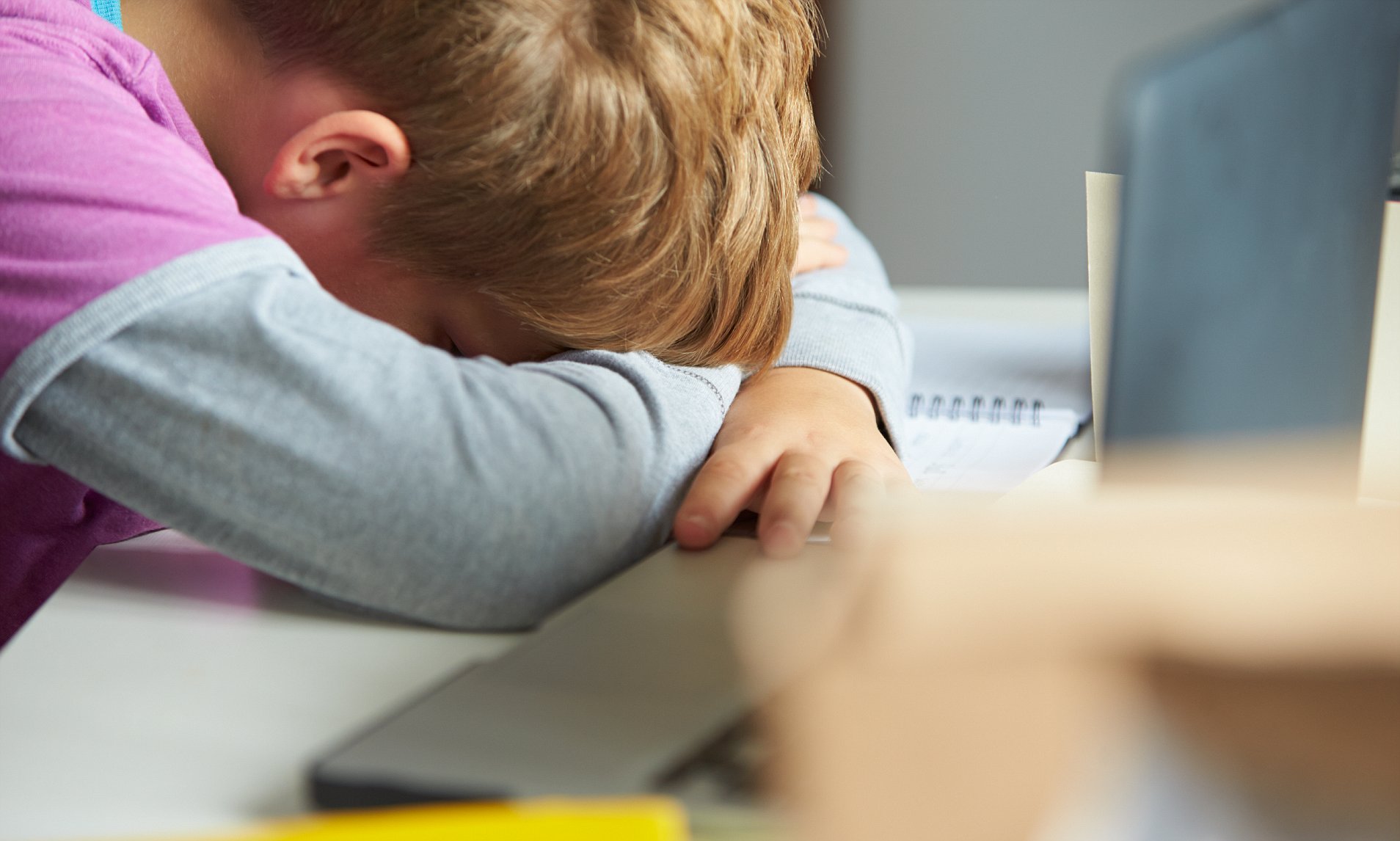 Австралийские школьники исследуют проблемы буллинга и плохой посещаемости