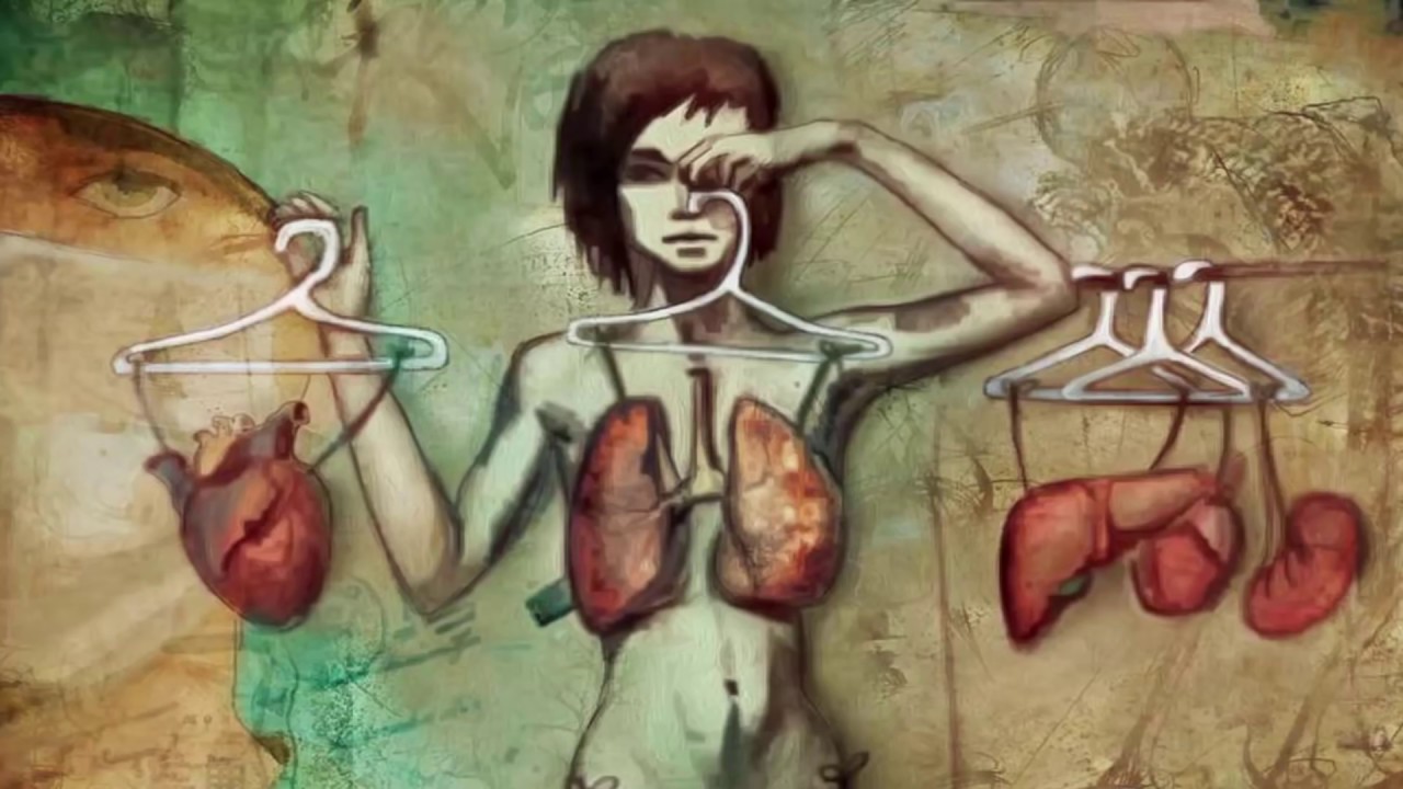 В школах Германии появятся уроки о донорстве органов