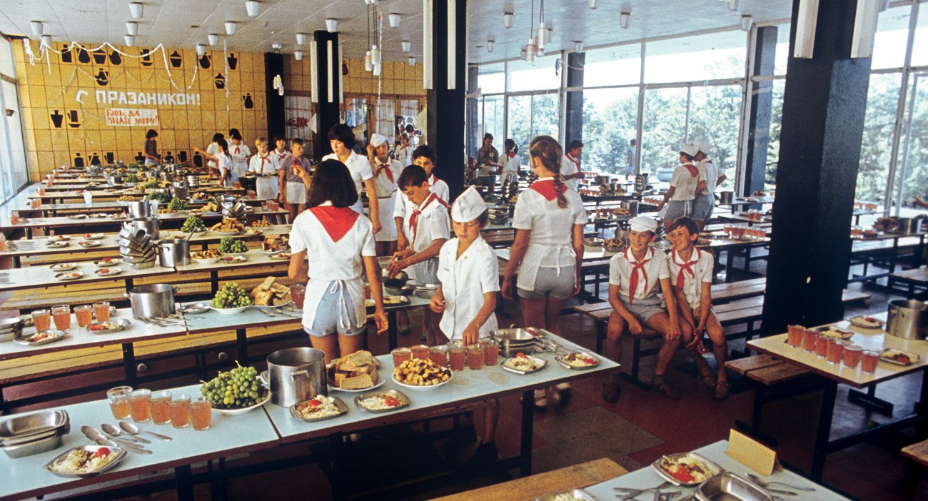 В детском лагере в Ленобласти из-за вспышки сальмонеллёза госпитализировали 13 детей