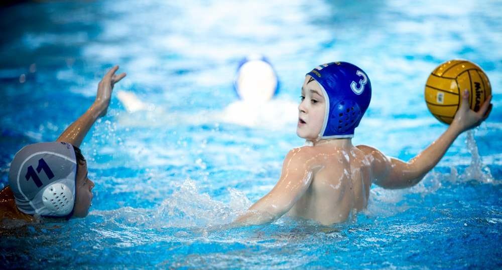 В петербургской школе требовали деньги за зачисление учеников в бесплатные секции