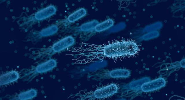 В Германии в одной из школ более 100 человек заразились туберкулезом