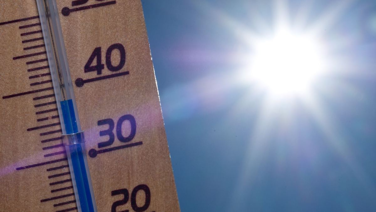 Коварная жара: В Японии госпитализированы 12 учеников начальной школы