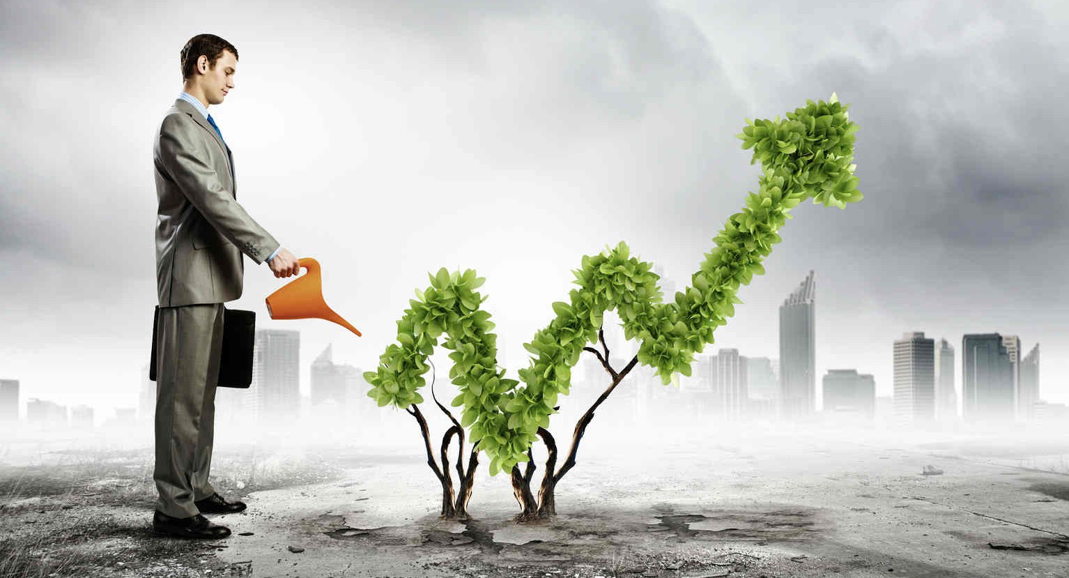 Без НКО и инвесторов система не выживет