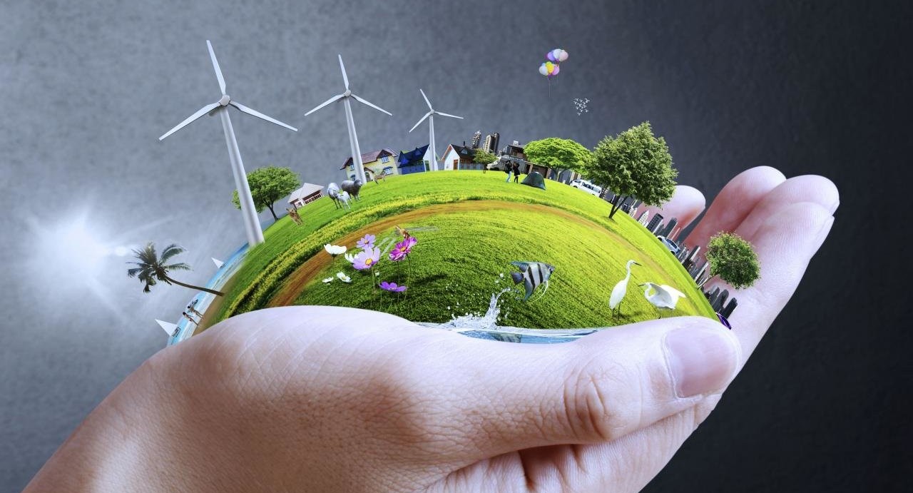 Минприроды: все браконьеры учились в школе!