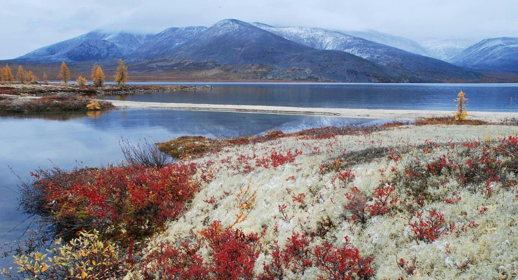 Дальневосточникам предлагают вернуть прежний возраст выхода на пенсию