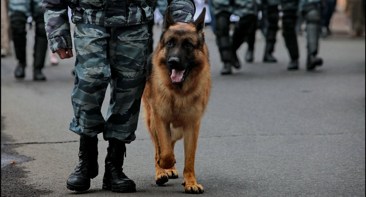 Сообщение о «минировании» более 130 московских школ поступало от пользователя «Юра Хой»