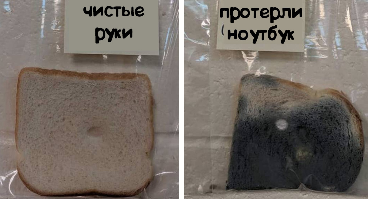 Мойте руки перед едой!