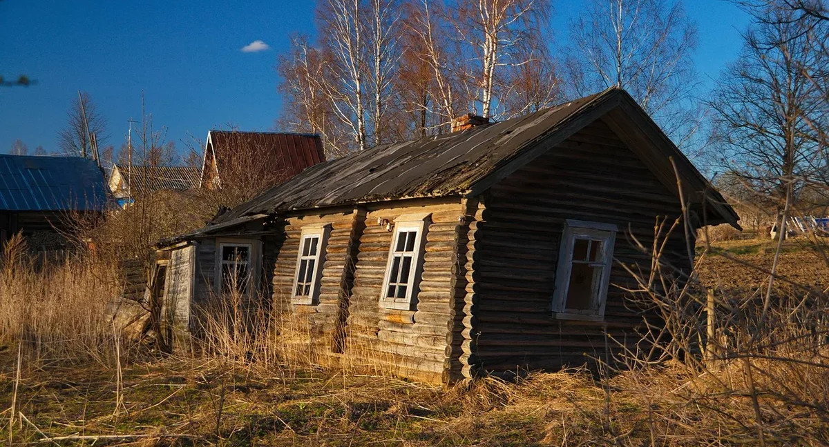 Ольга Васильева: Неспособность школьников применять знания – это ментальное