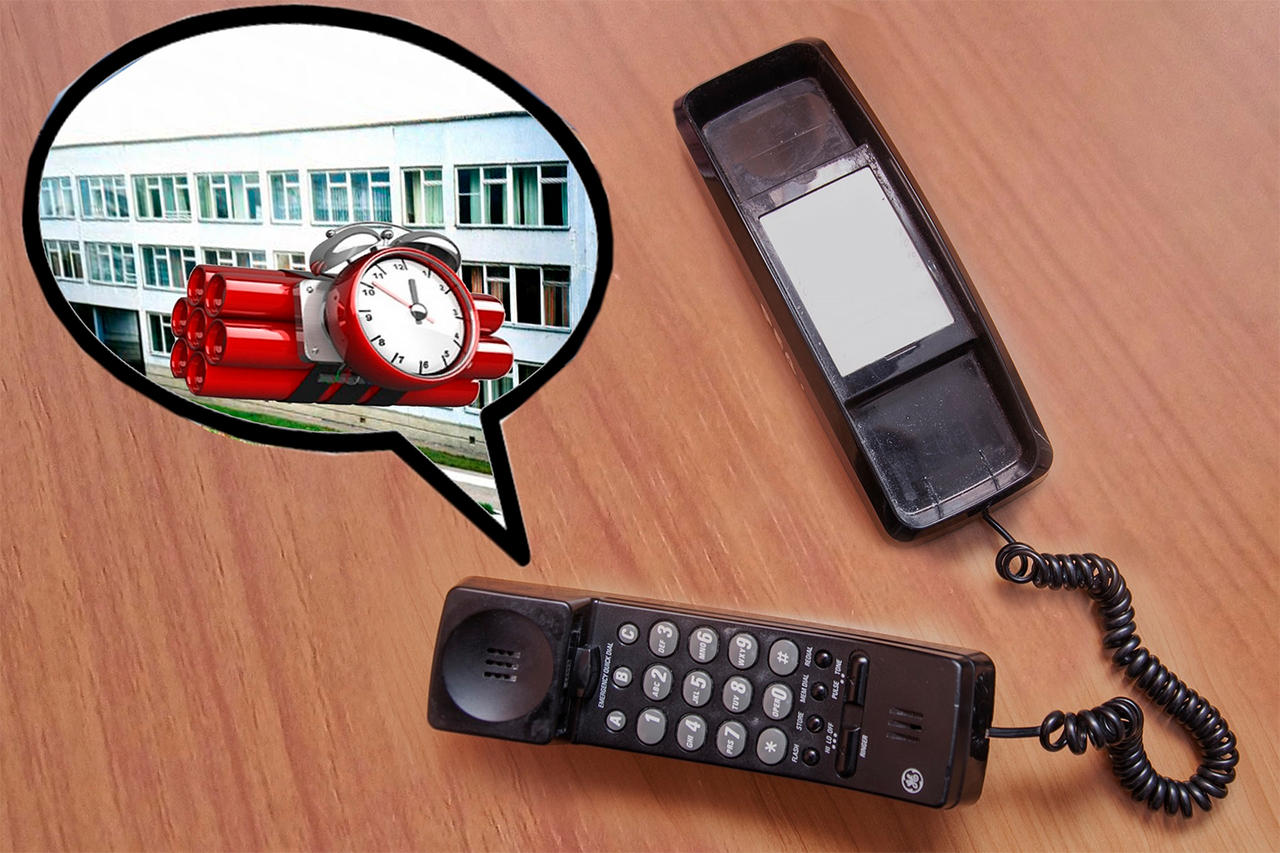 Около 15 школ и пять детсадов проверяют в Москве из-за сообщений об угрозе взрыва