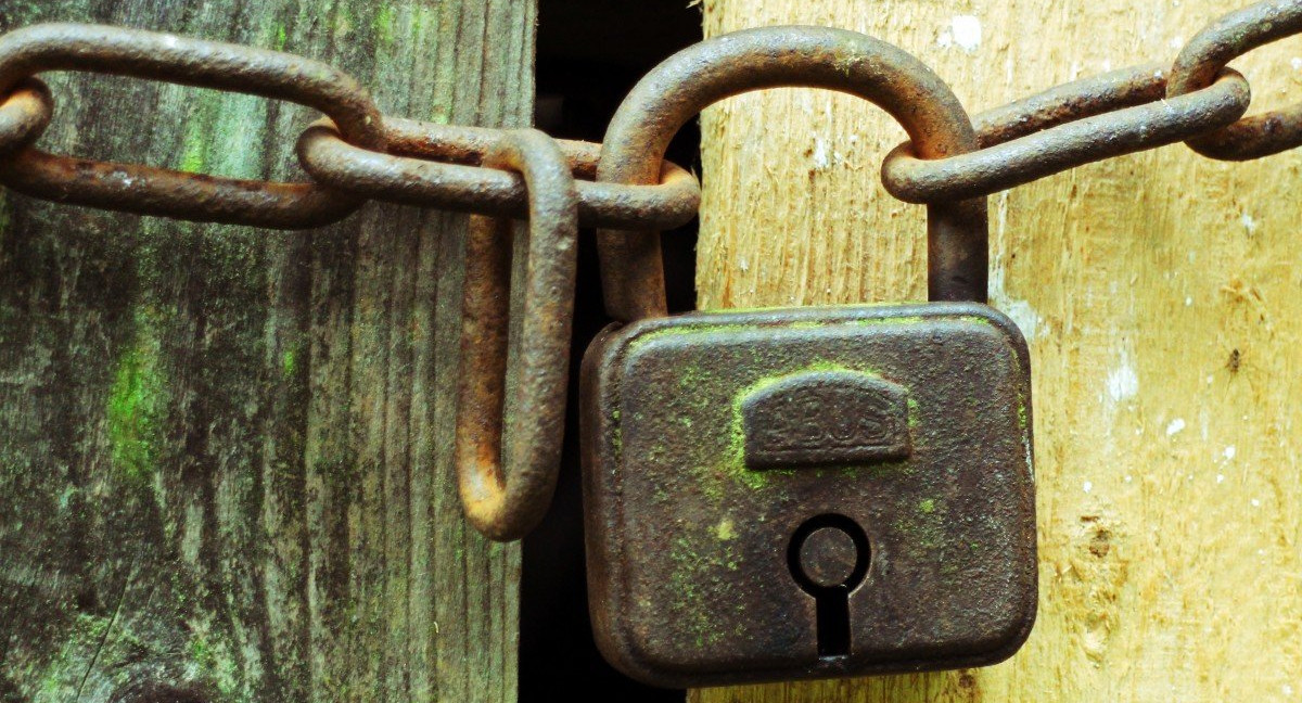 Мишустин подписал распоряжение о закрытии границы России на Дальнем Востоке