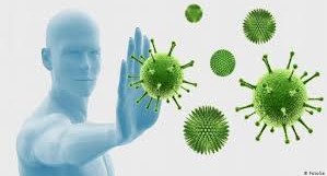 Владимир Путин: Россия победит коронавирус раньше чем через два-три месяца