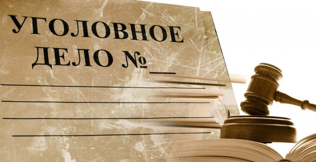 Алёна Попова прокомментировала отказ следственного комитета переквалифицировать уголовное дело сестер Хачатурян