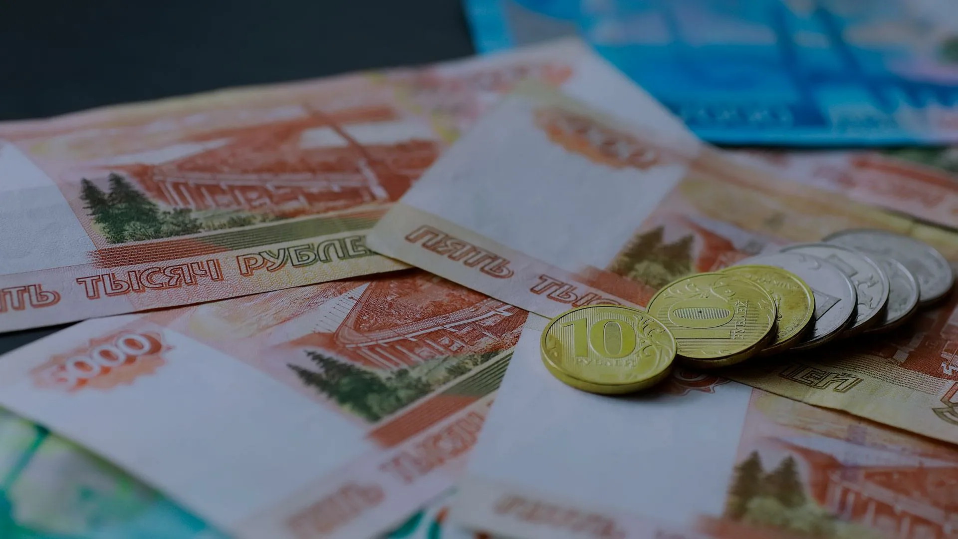 Учителя Алтайского края просят компенсировать прерванный отпуск и тяжёлые условия на ЕГЭ