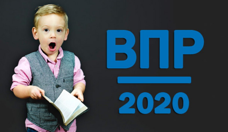 Евгения Елисеева: ВПР-2020 будут проводиться по материалам предыдущего года обучения