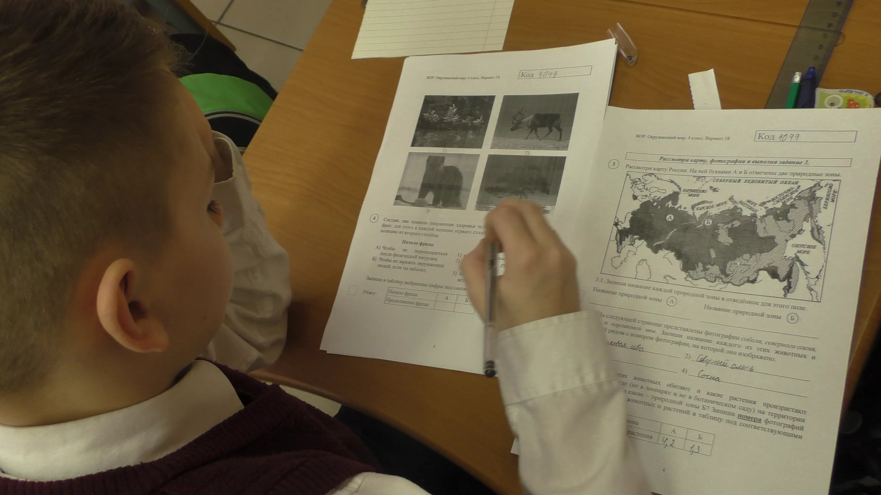 Российские школьники троллят Всероссийские проверочные работы