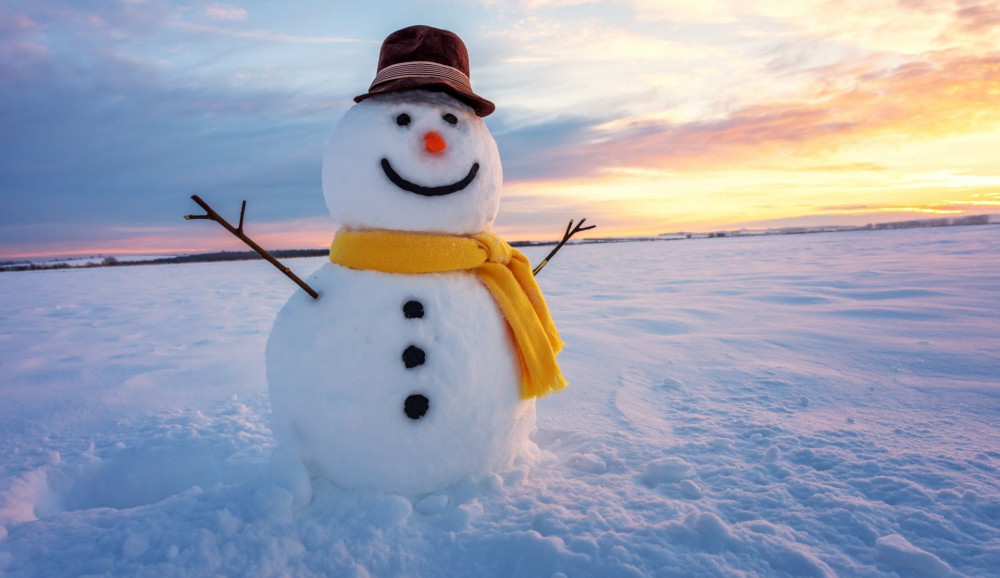 Школьник своровал снег ради гигантского снеговика