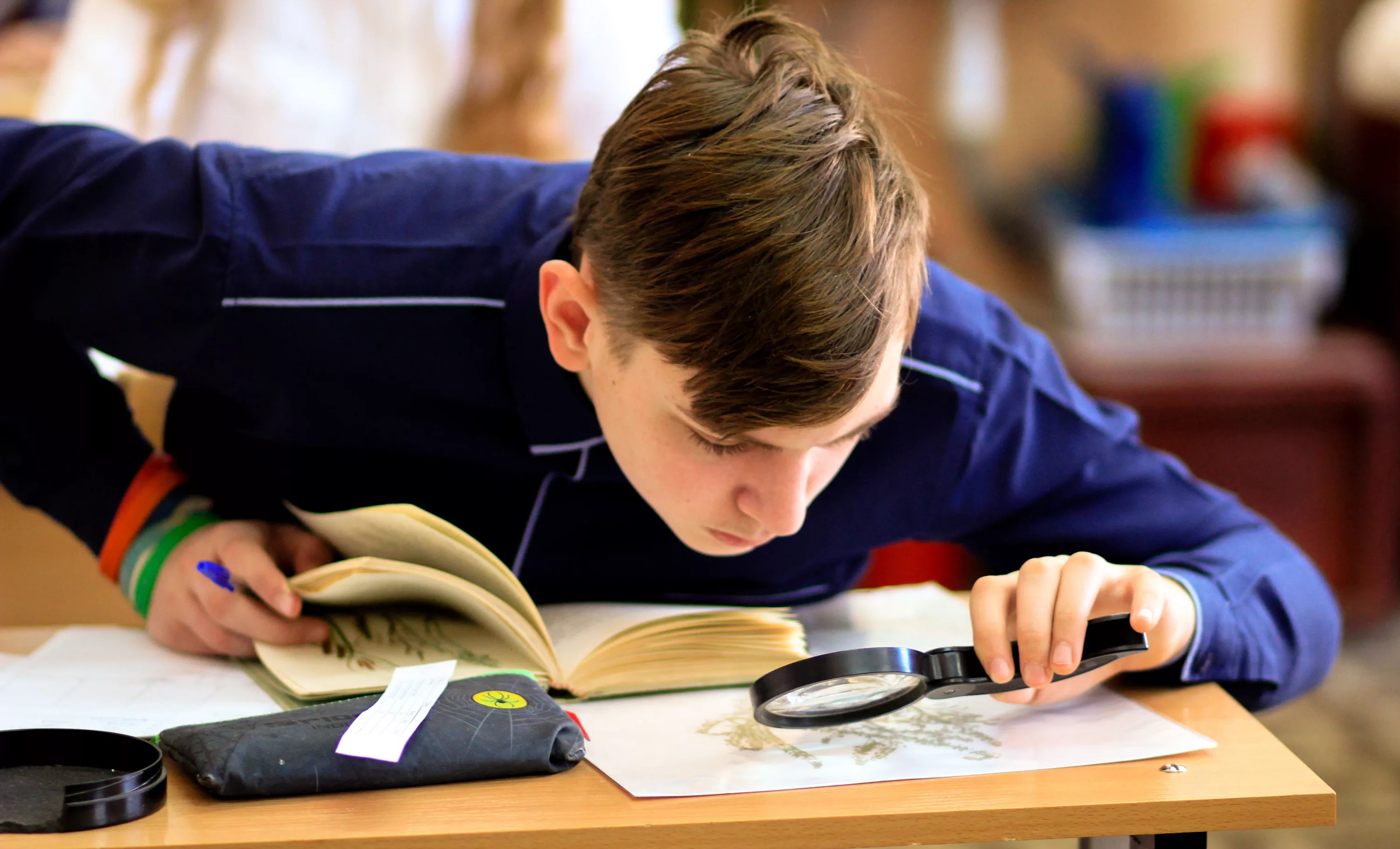 Новый порядок проведения Всероссийской олимпиады школьников