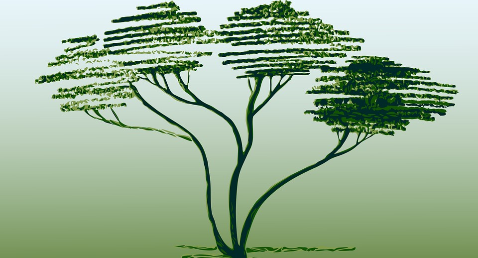 Татьяна Ковалева: Есть такие зоны человеческой деятельности, которые полной цифровизации не подлежат