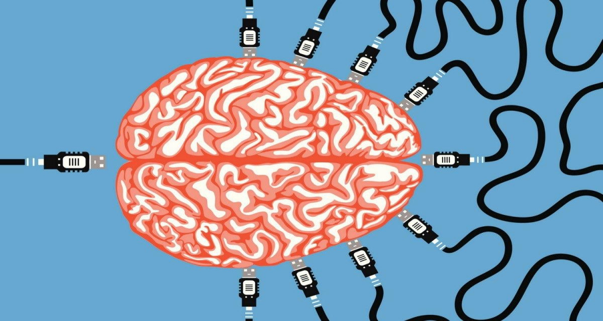 Минобрнауки опровергло разработку федеральной программы по чипированию мозга