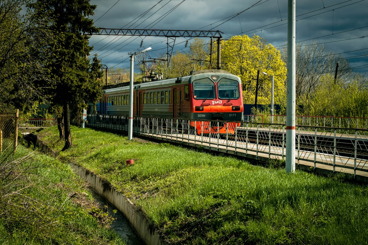 Со 2 августа семьям с детьми можно ехать на поезде со скидкой 40%