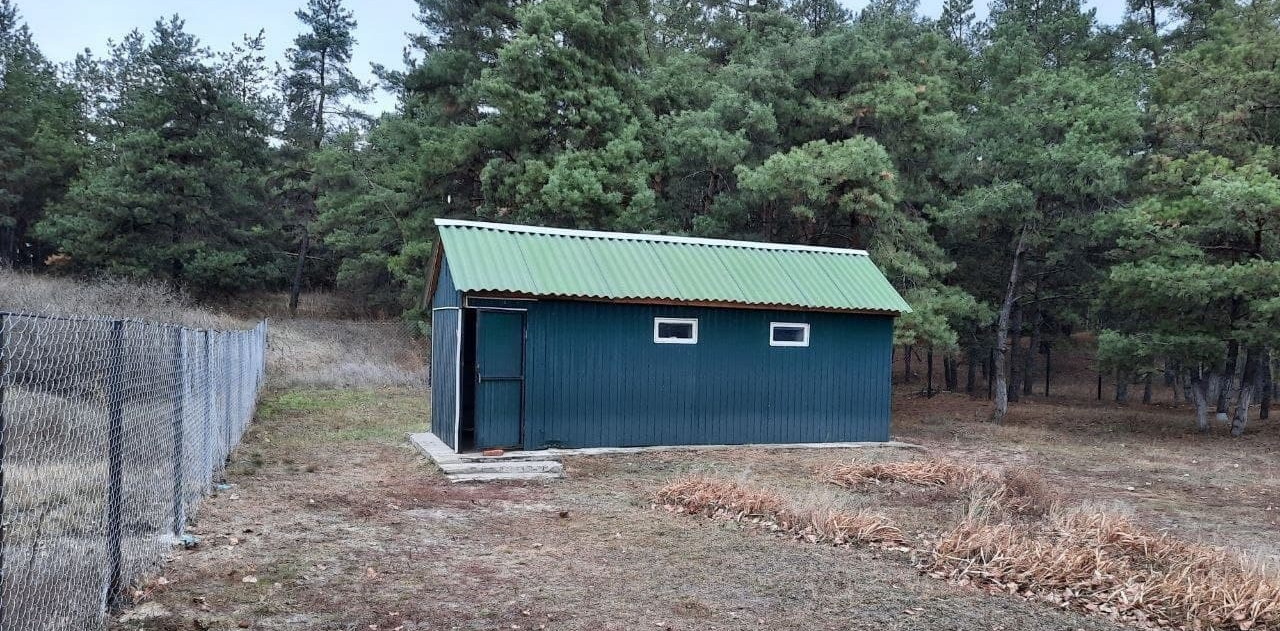 Родители учеников в Белгородской области пожаловались на холодный уличный туалет для детей