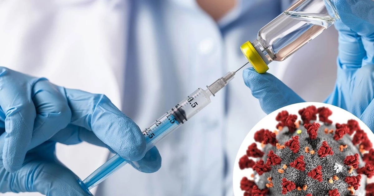 Россияне с высшим образованием чаще вакцинируются от коронавируса