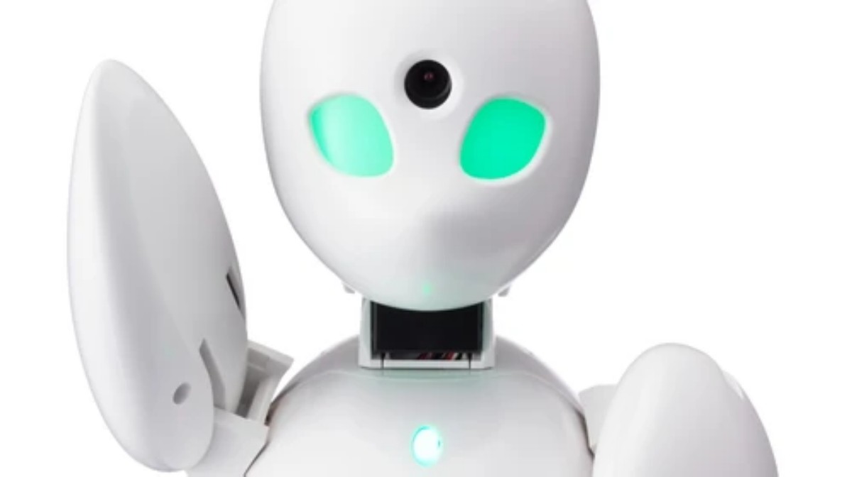 В Японии социальным отшельникам выдали роботов для общения с окружающими