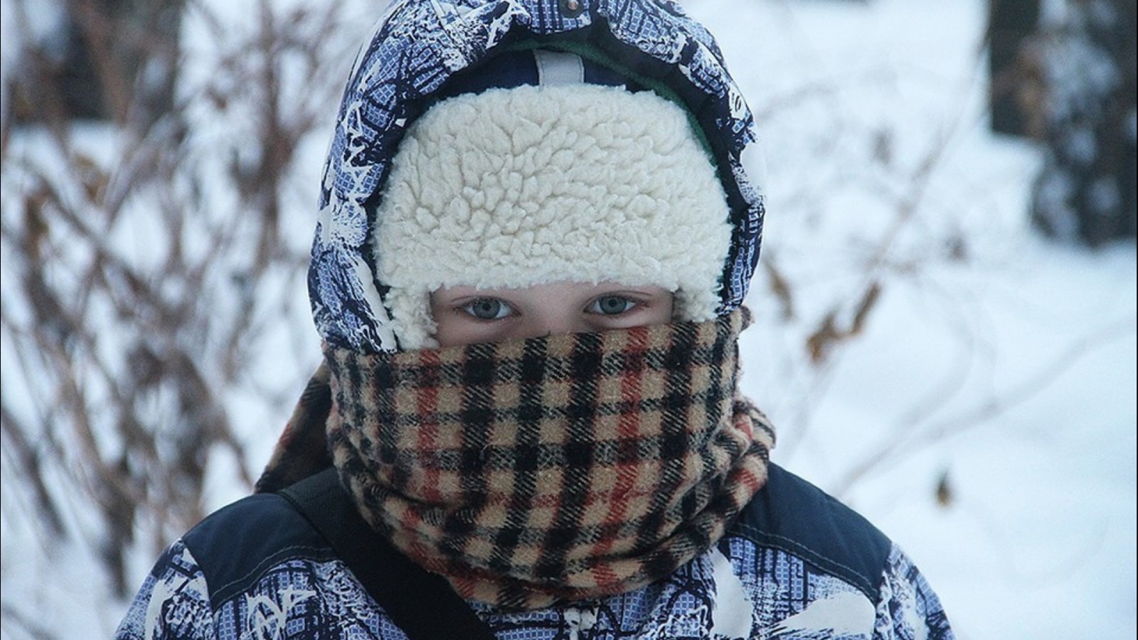 В Москве учащиеся младших классов могут не ходить в школу при температуре ниже -25 °С