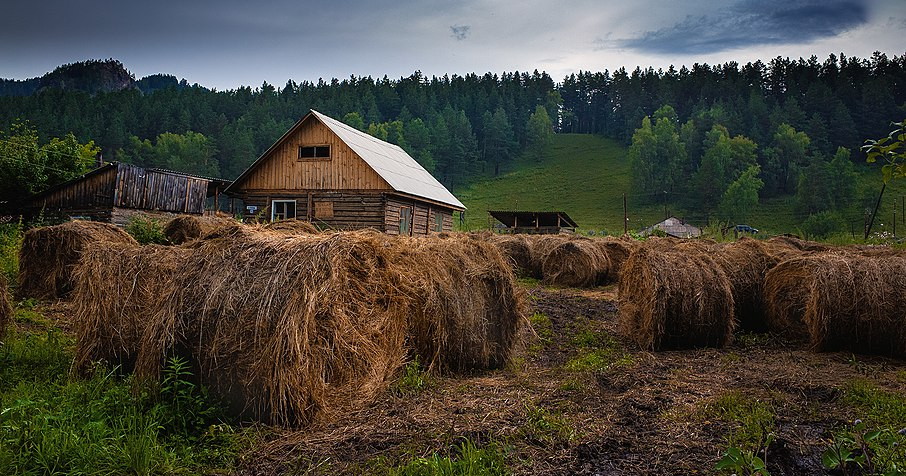 Выпускников школ Австралии призвали поработать в сельской местности