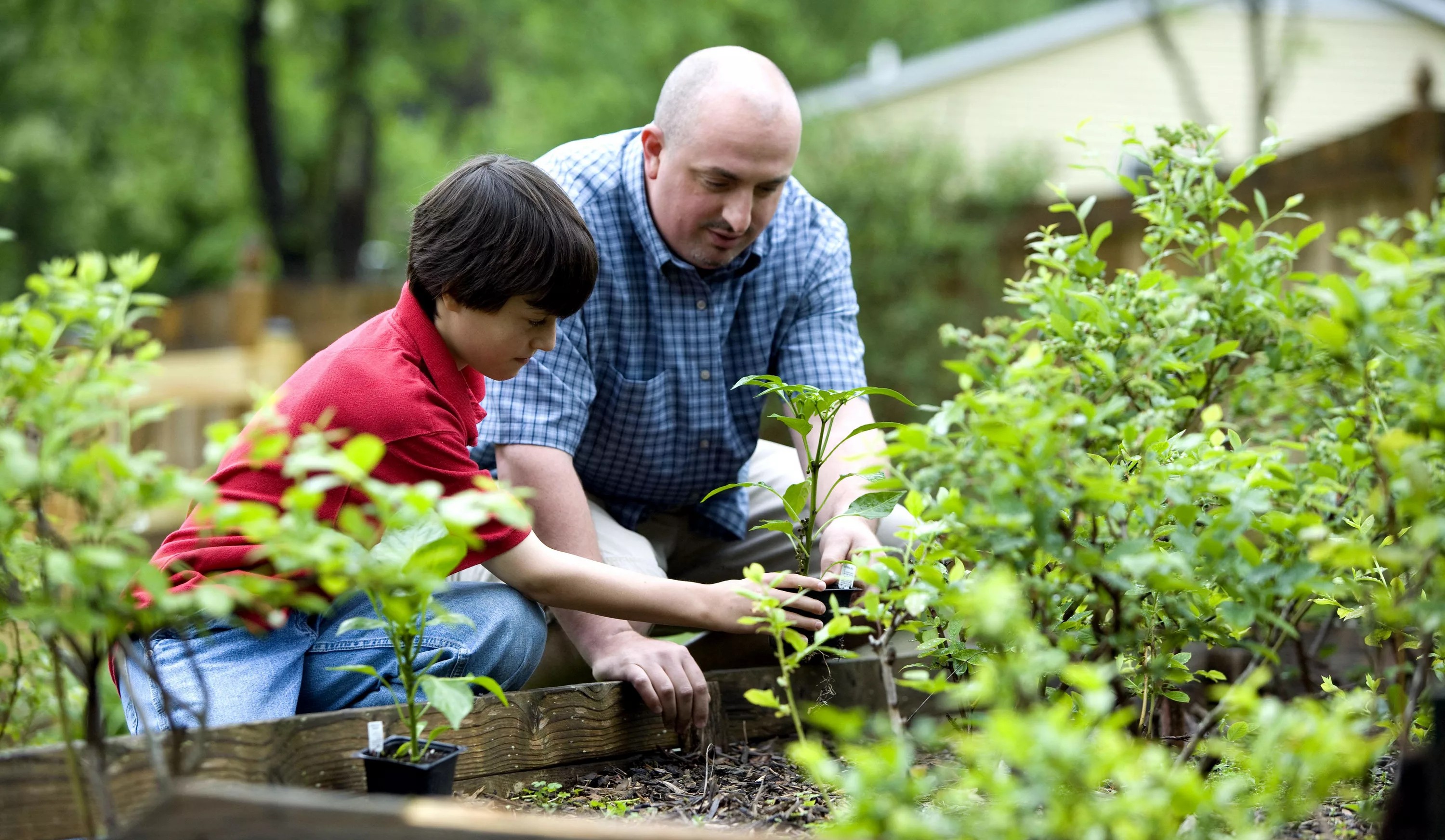 Где планируют провести москвичи это лето