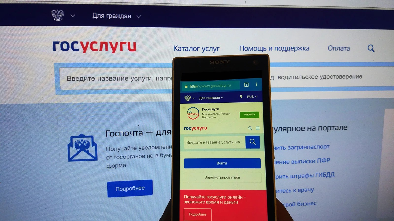 Результаты участников ЕГЭ доступны на портале Госуслуг