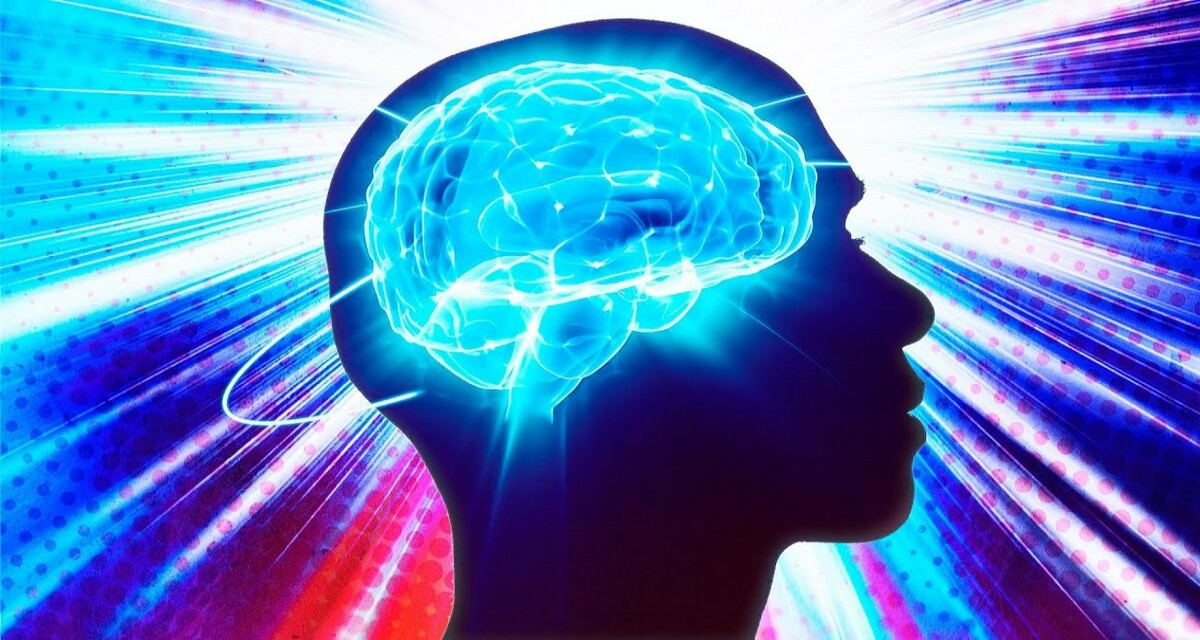 Что такое когнитивная усталость и почему у людей пропадает желание что-то делать