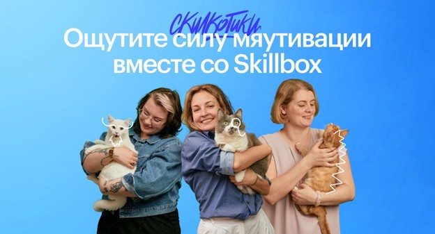 Skillbox конвертирует домашние работы студентов в корм для котоприюта